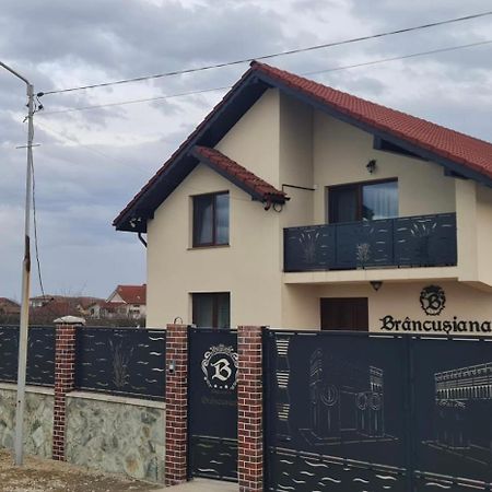 Casa Brancusiana Apartment Târgu Jiu Екстериор снимка