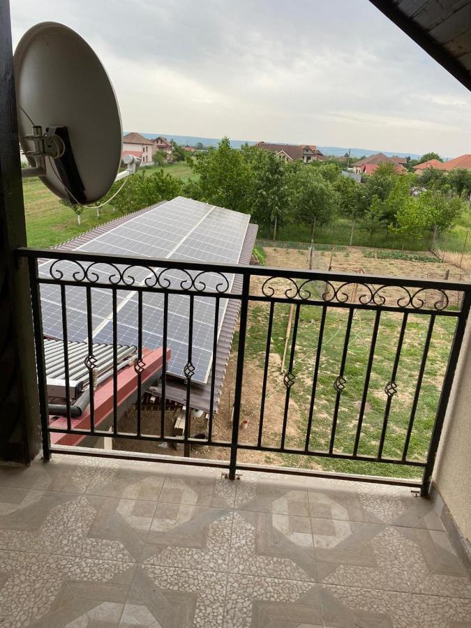 Casa Brancusiana Apartment Târgu Jiu Екстериор снимка