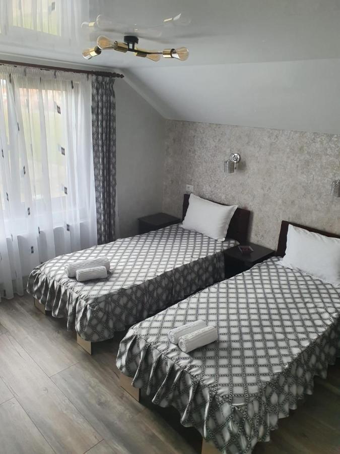 Casa Brancusiana Apartment Târgu Jiu Екстериор снимка