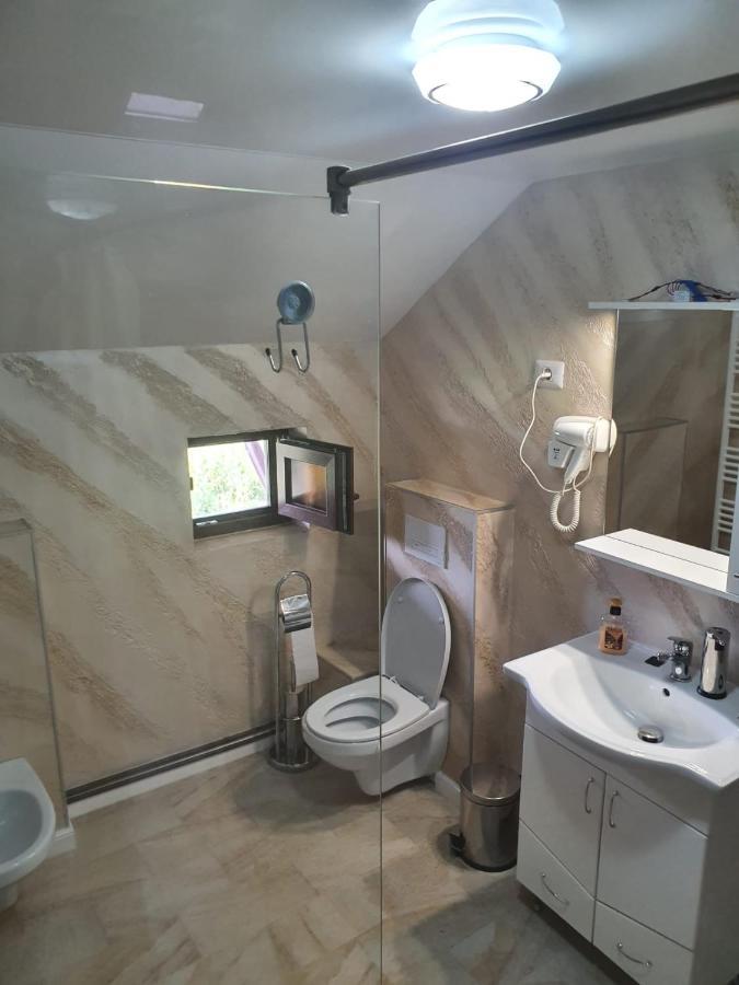 Casa Brancusiana Apartment Târgu Jiu Екстериор снимка