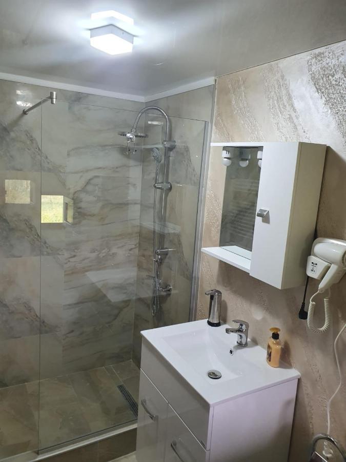 Casa Brancusiana Apartment Târgu Jiu Екстериор снимка