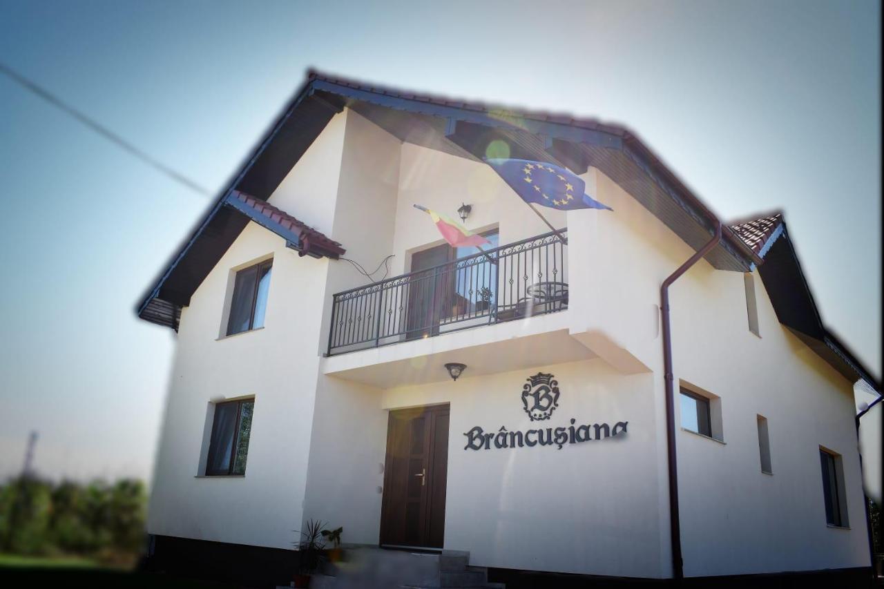 Casa Brancusiana Apartment Târgu Jiu Екстериор снимка
